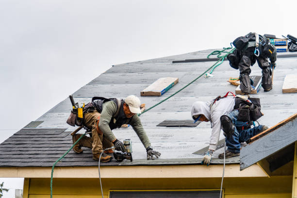 Professional Storm Damage Roof Repair technician working in Caddo Mills, TX